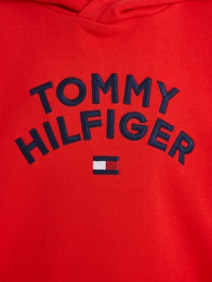 Tommy hilfiger flag hoodie SNE fireworks