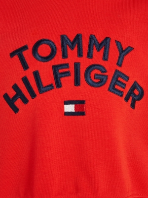 Tommy hilfiger flag hoodie SNE fireworks