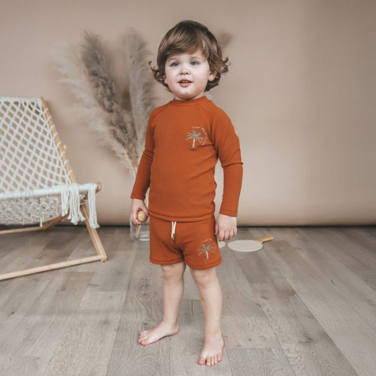 Solid | Swim Longsleeve Bombay Brown