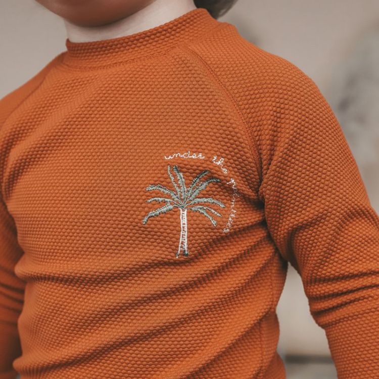 Solid | Swim Longsleeve Bombay Brown