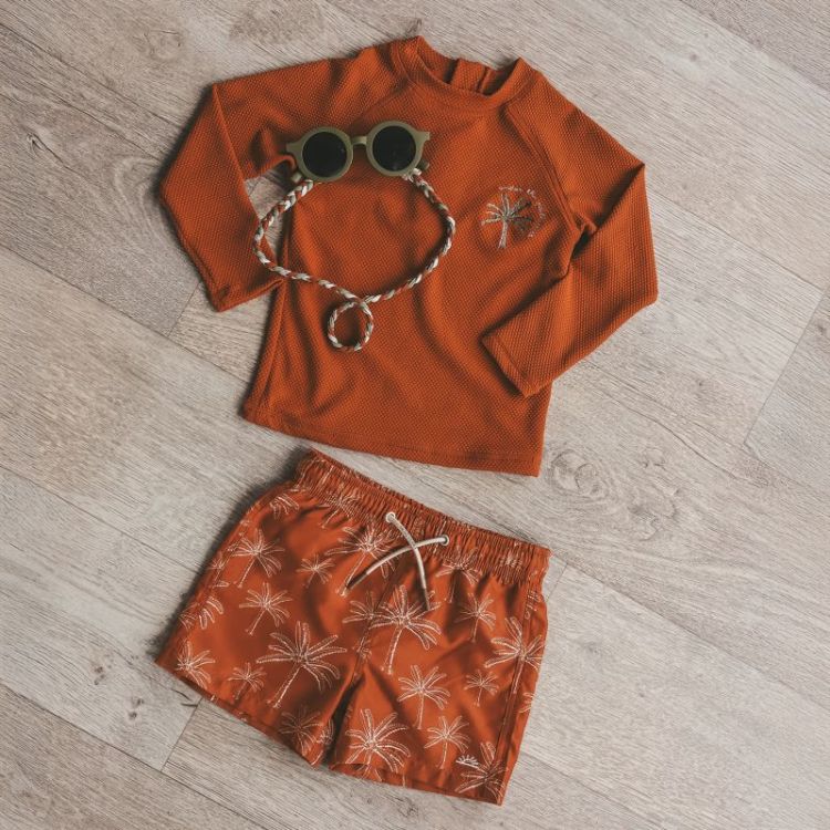 Solid | Swim Longsleeve Bombay Brown