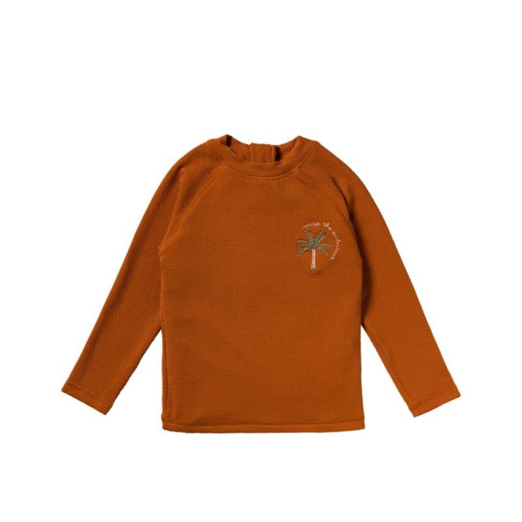 Solid | Swim Longsleeve Bombay Brown
