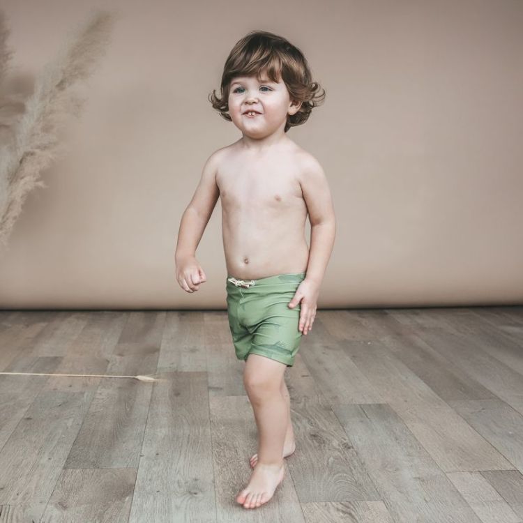 Shark | Swim Trunks Iguana