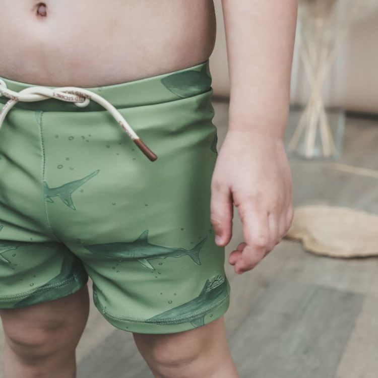 Shark | Swim Trunks Iguana