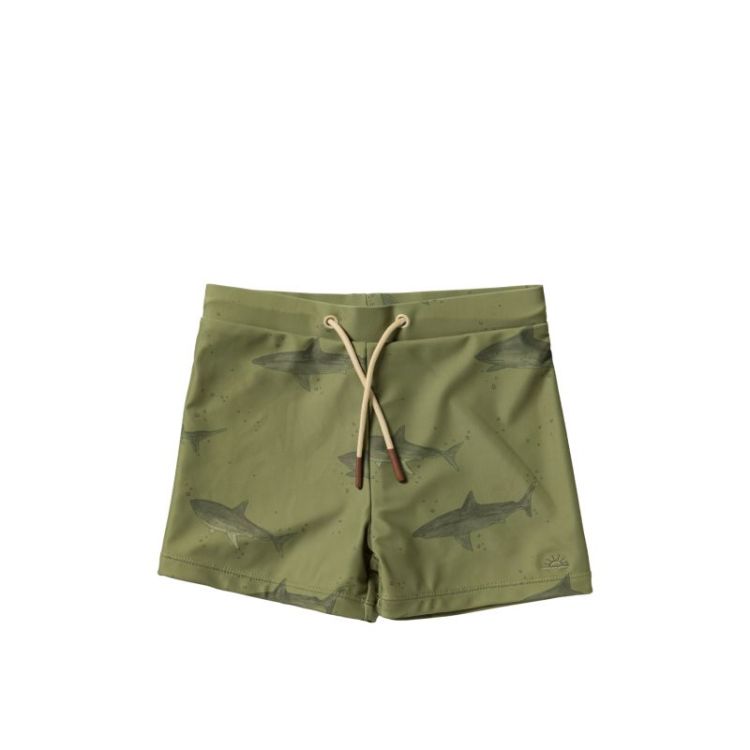 Shark | Swim Trunks Iguana