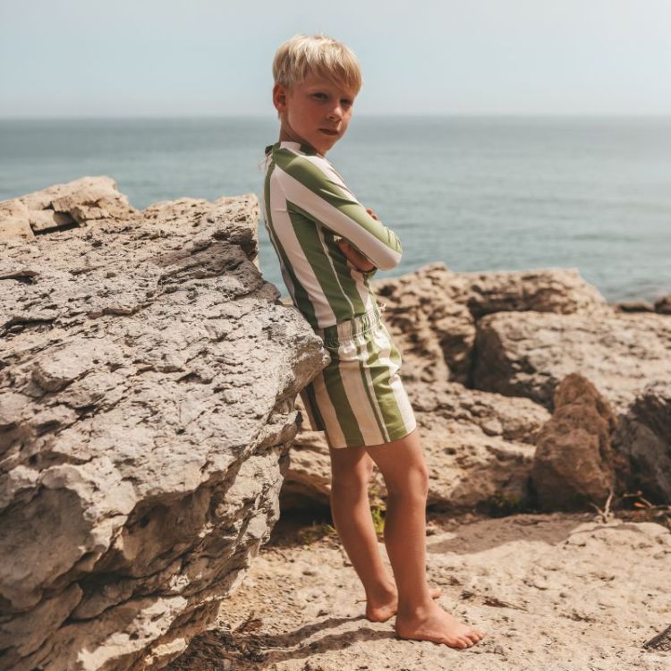 Wide Stripe | Swim Shorts Iguana