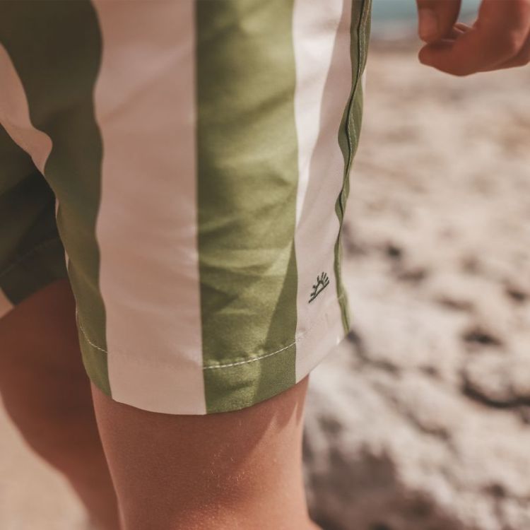Wide Stripe | Swim Shorts Iguana