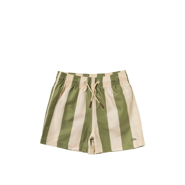 Wide Stripe | Swim Shorts Iguana